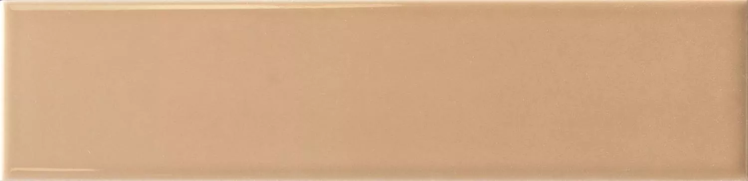 Agofat Gloss 6x24.6